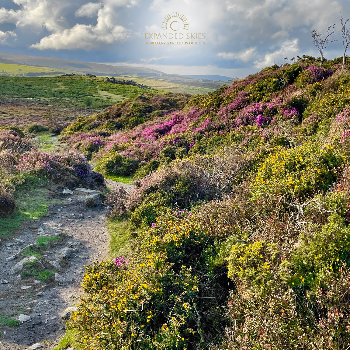 Expanded Skies Haytor Heather and Gorse Amethyst and Sapphire Pendant