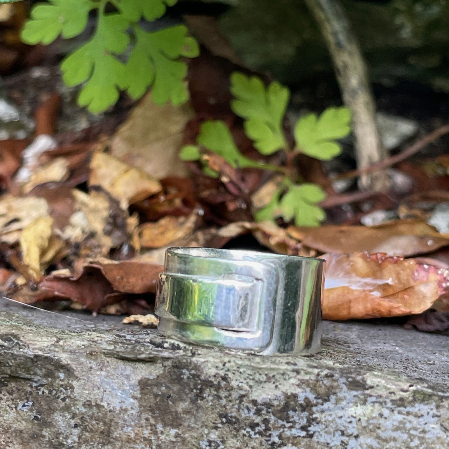 Make a Wide Silver Ring workshop  Ashburton Jewellery School 6 September 2025. Perfect  project for Autumn. Expanded Skies