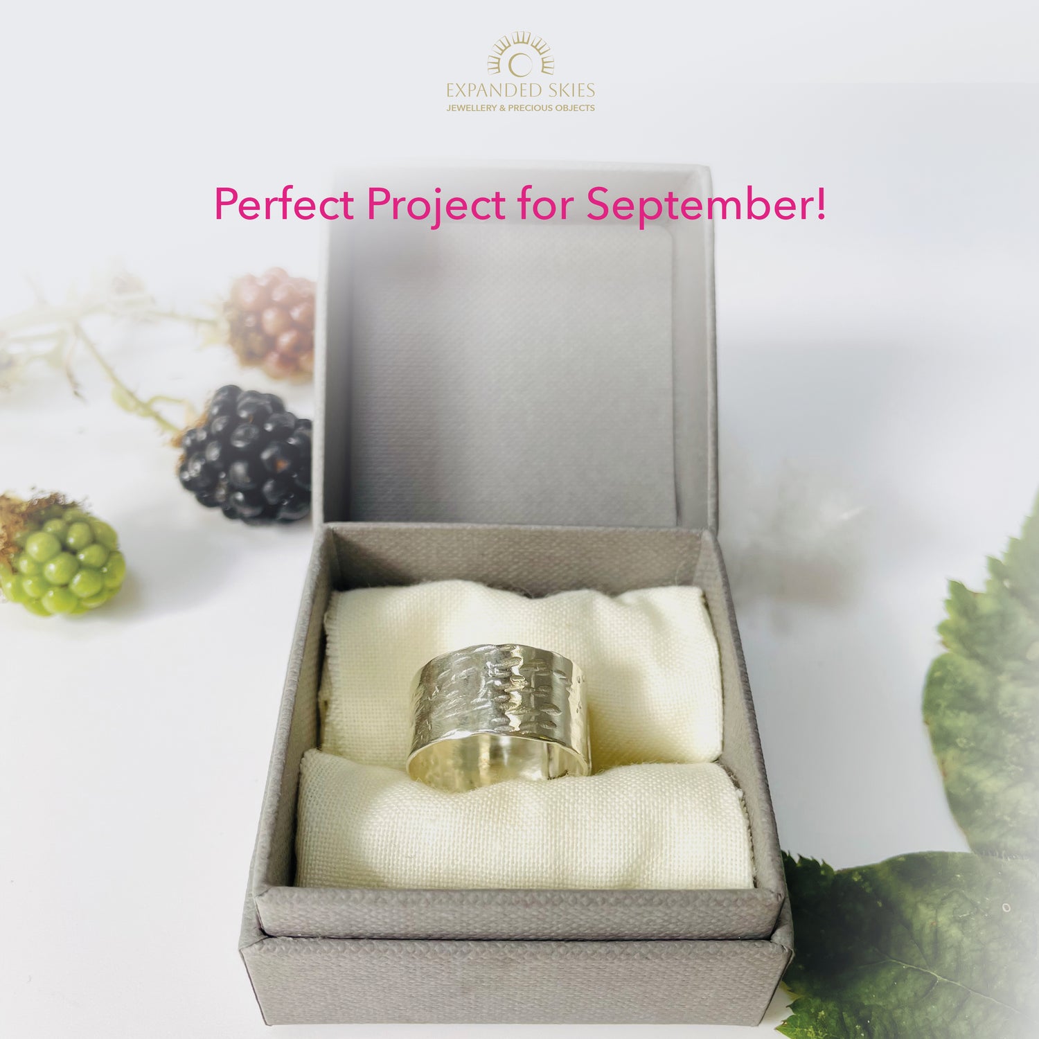 Make a Beautiful Wide Silver Ring Workshop Ashburton Jewellery School. A perfect project for Autumn 6 September 2025 Ashburton, Devon