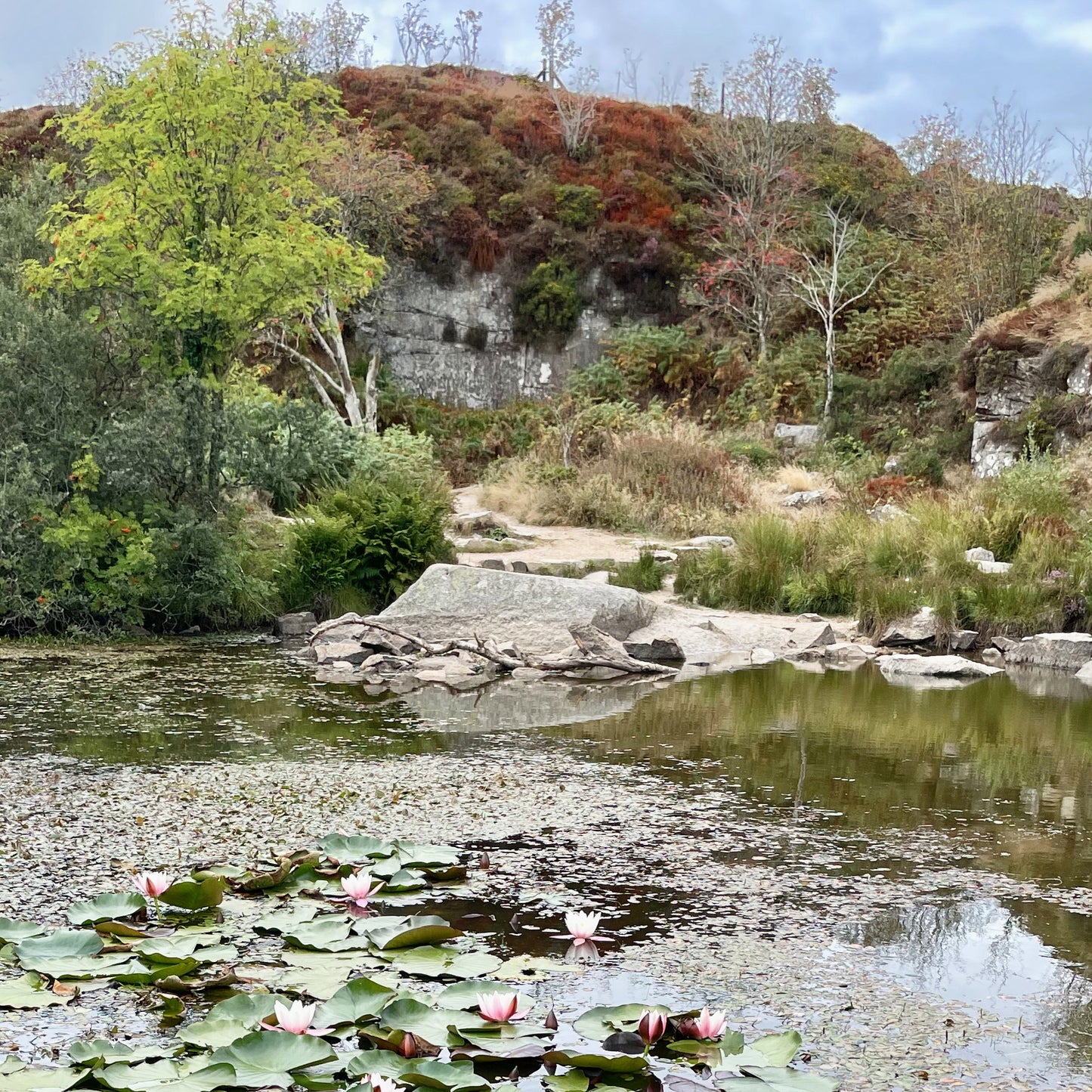 Expanded Skies Jewellery inspiration, photo of the Haytor Quarry pool with water lilies.