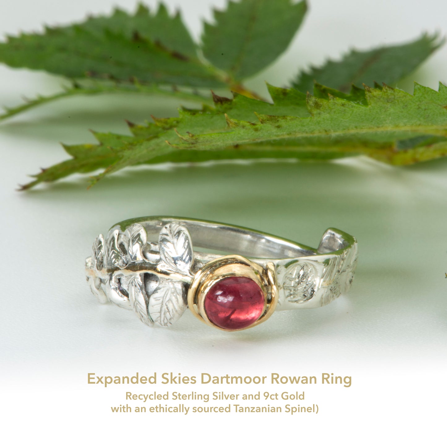 
Expanded Skies Dartmoor Rowan Leaf and Berries Spinel Ring. The Expanded Skies Dartmoor Rowan Leaf and Berries Spinel Ring is totally handcrafted on the edge of Dartmoor. The ring is created in recycled sterling silver, inlaid with 9ct gold. The ring is set with an ethically sourced Tanzanian red-pink spinel, set in 9ct gold, with a hand formed rowan leaf, inlaid with 9ct gold. The ethically sourced 4.5mm round spinel is from Moyo Gems. Moyo gems is run by female miners Tanzanian Women Miners' Association.