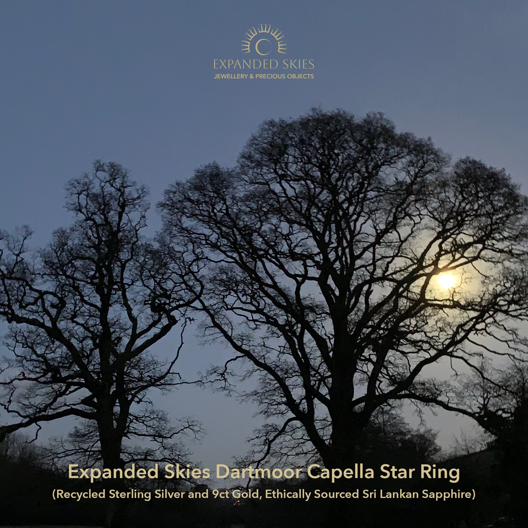 Silhouettes of trees against a dark sky with moonlight, featuring 'Expanded Skies' Capella Star Ring