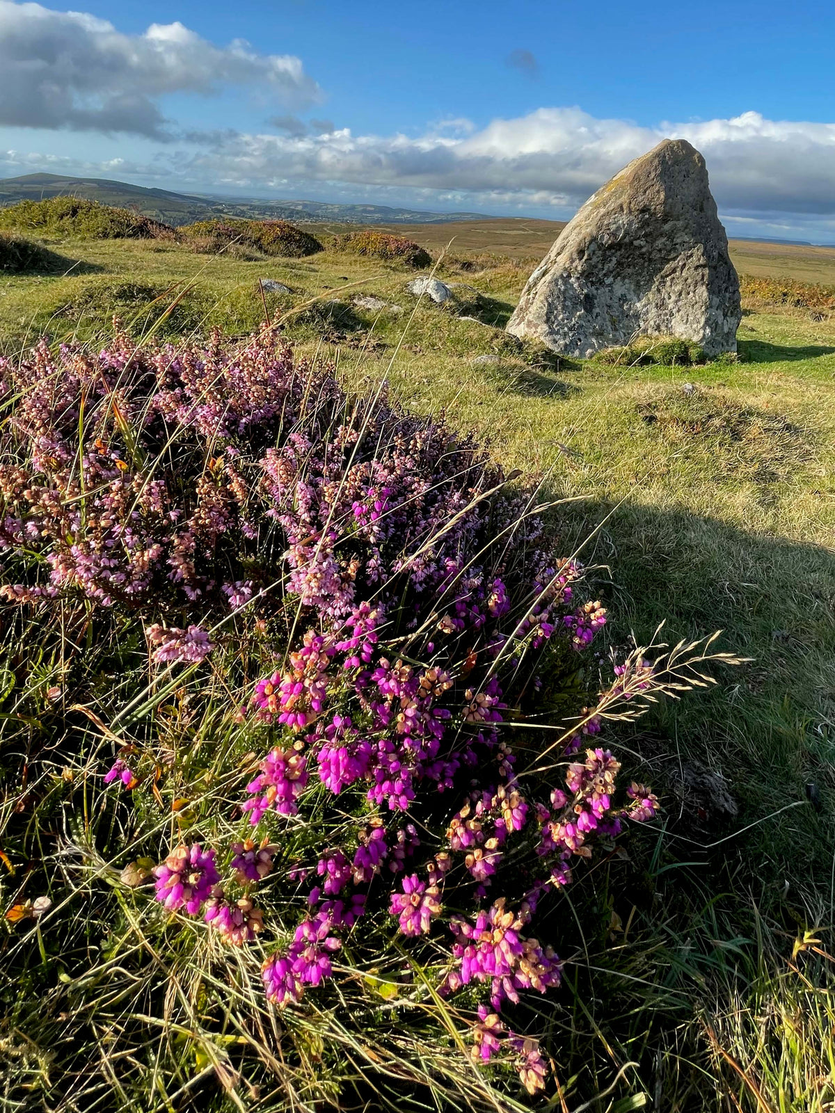 Dartmoor Heather at Haytor Expanded Skies Jewellery