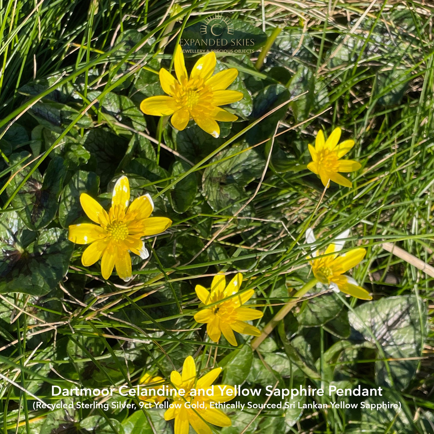 Expanded Skies Expanded Skies Celandine Sapphire Pendant, inspired by the profusion of celandine petals found in the meadow near Cuddyford and all along the Dartmoor byways (pictured), pure joy! With a 9ct gold or sterling silver chain.