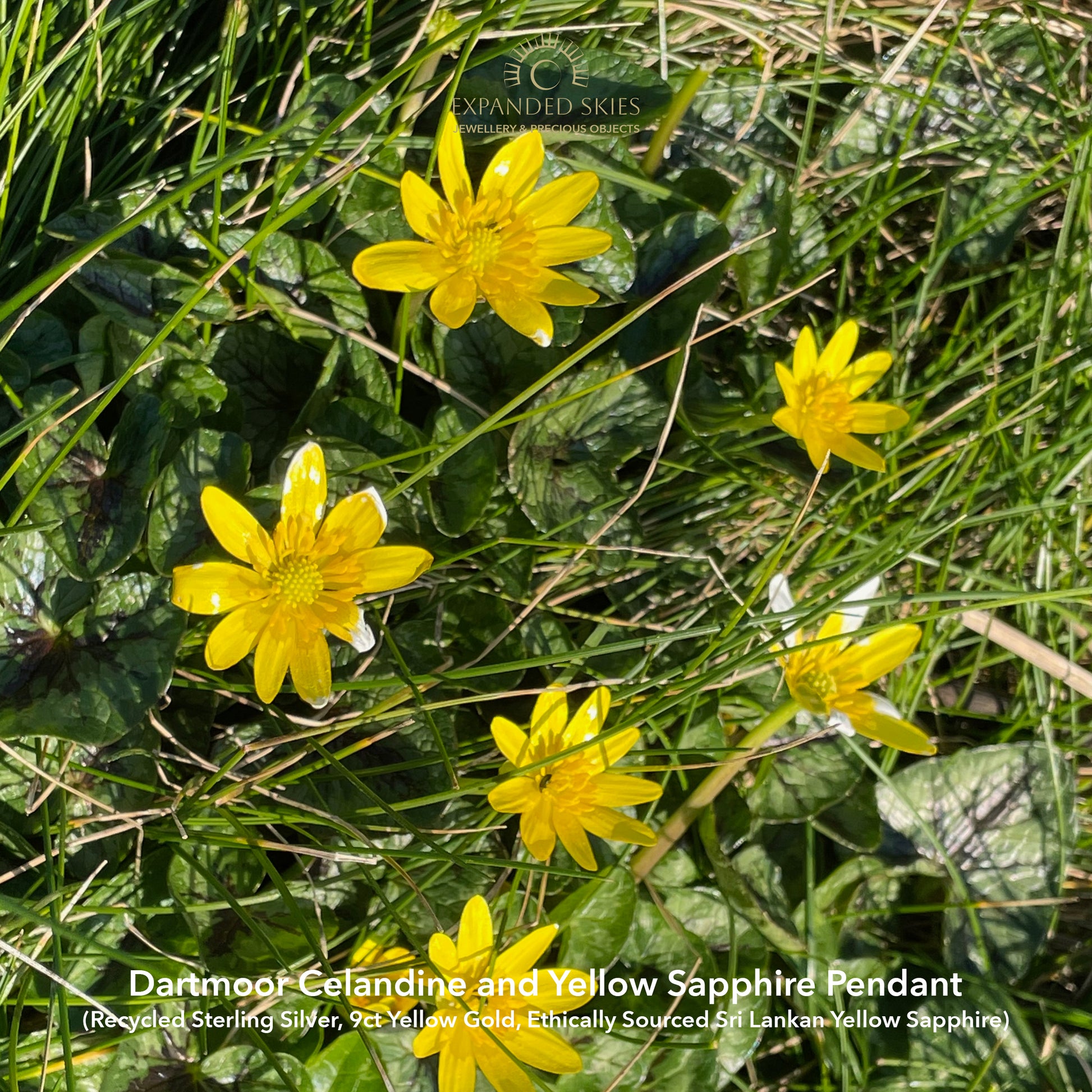 Expanded Skies Expanded Skies Celandine Sapphire Pendant, inspired by the profusion of celandine petals found in the meadow near Cuddyford and all along the Dartmoor byways (pictured), pure joy! With a 9ct gold or sterling silver chain.