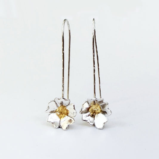 The Expanded Skies Dartmoor Field Rose Drop Earrings capture the joyous simple beauty of the field rose, Rosa arvensis, that is seen weaving brightly through the Dartmoor hedgerows and woodland. Hand pierced and formed in recycled fine silver with recycled 24ct gold accents and recycled sterling silver ear wires. 