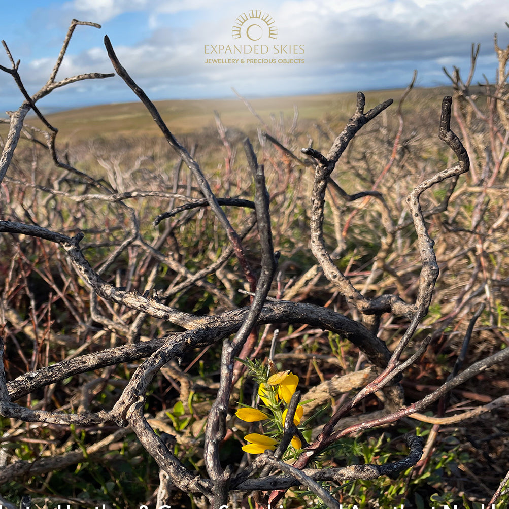 Expanded Skies Jewellery Dartmoor Haytor Heather and Gorse Collection - landscape inspiration photo